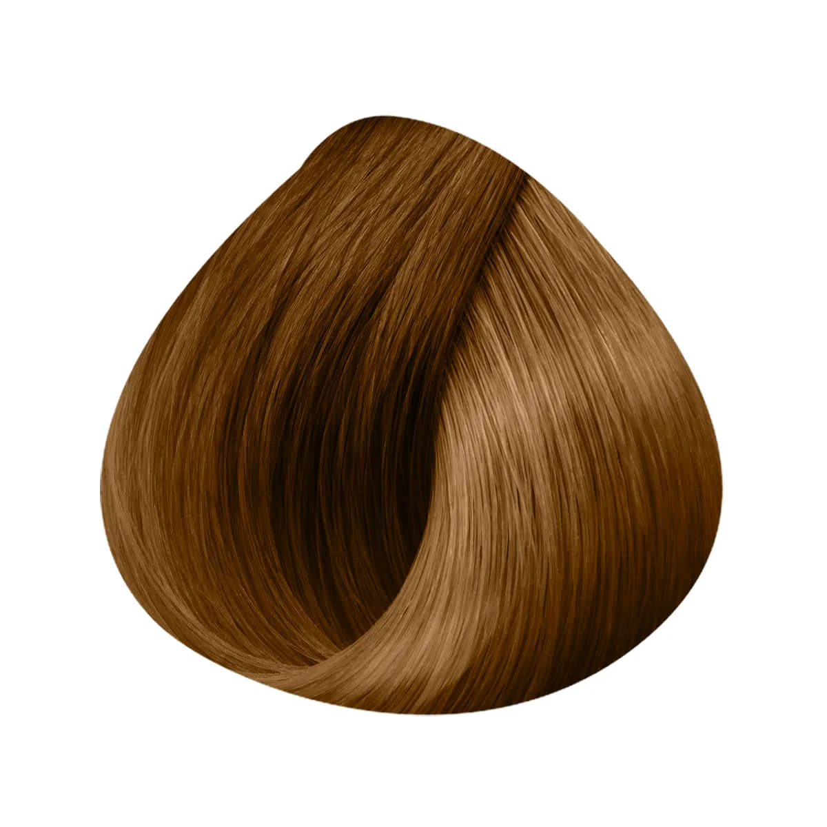 Extensions Anneaux 10 Mèches 40/45cm - Image 17
