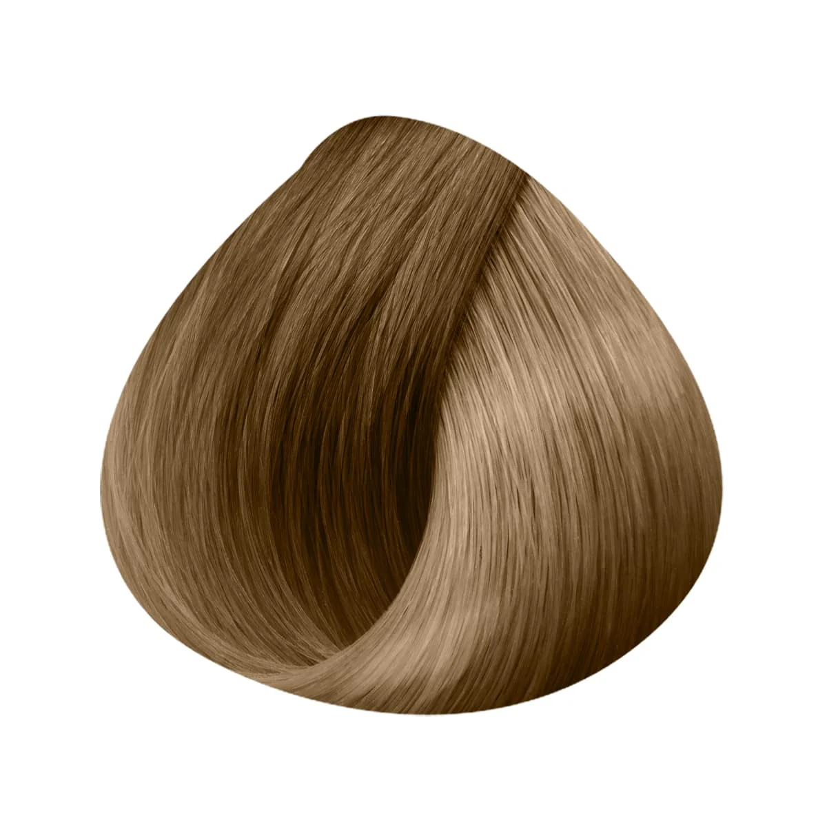 Extensions Anneaux 10 Mèches 40/45cm - Image 32