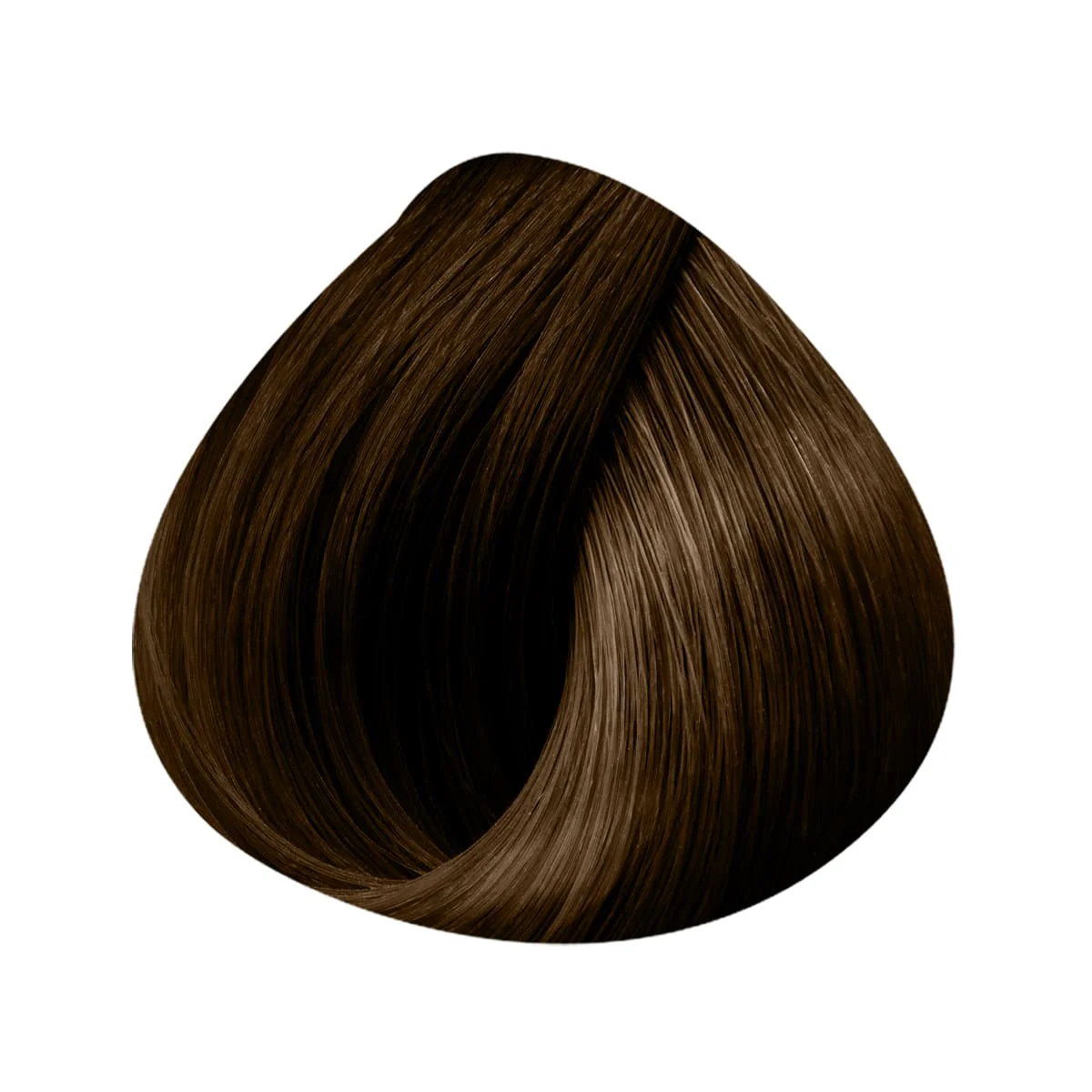 Extensions Anneaux 10 Mèches 50/55cm - Image 28