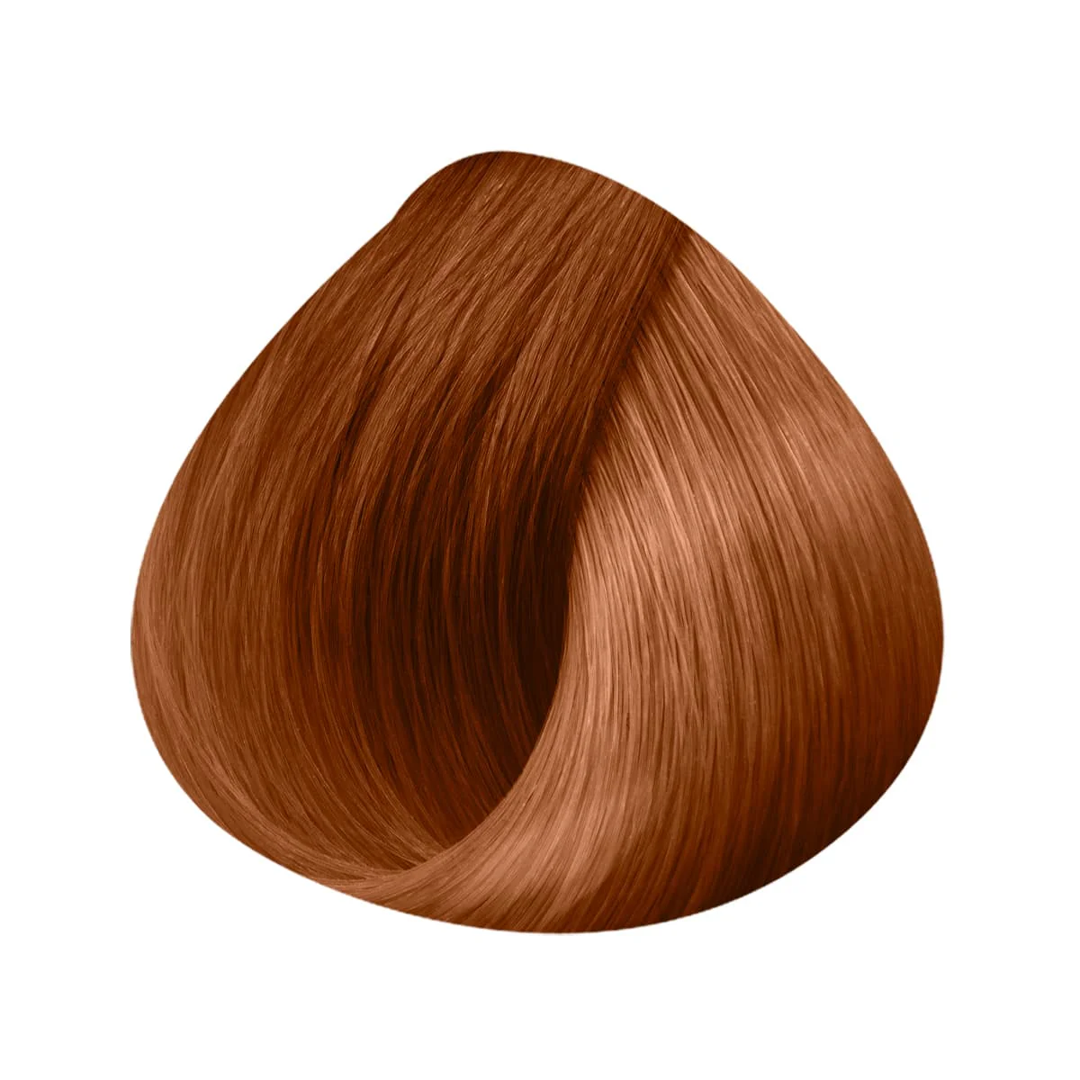 Extensions Anneaux 10 Mèches 50/55cm - Image 38