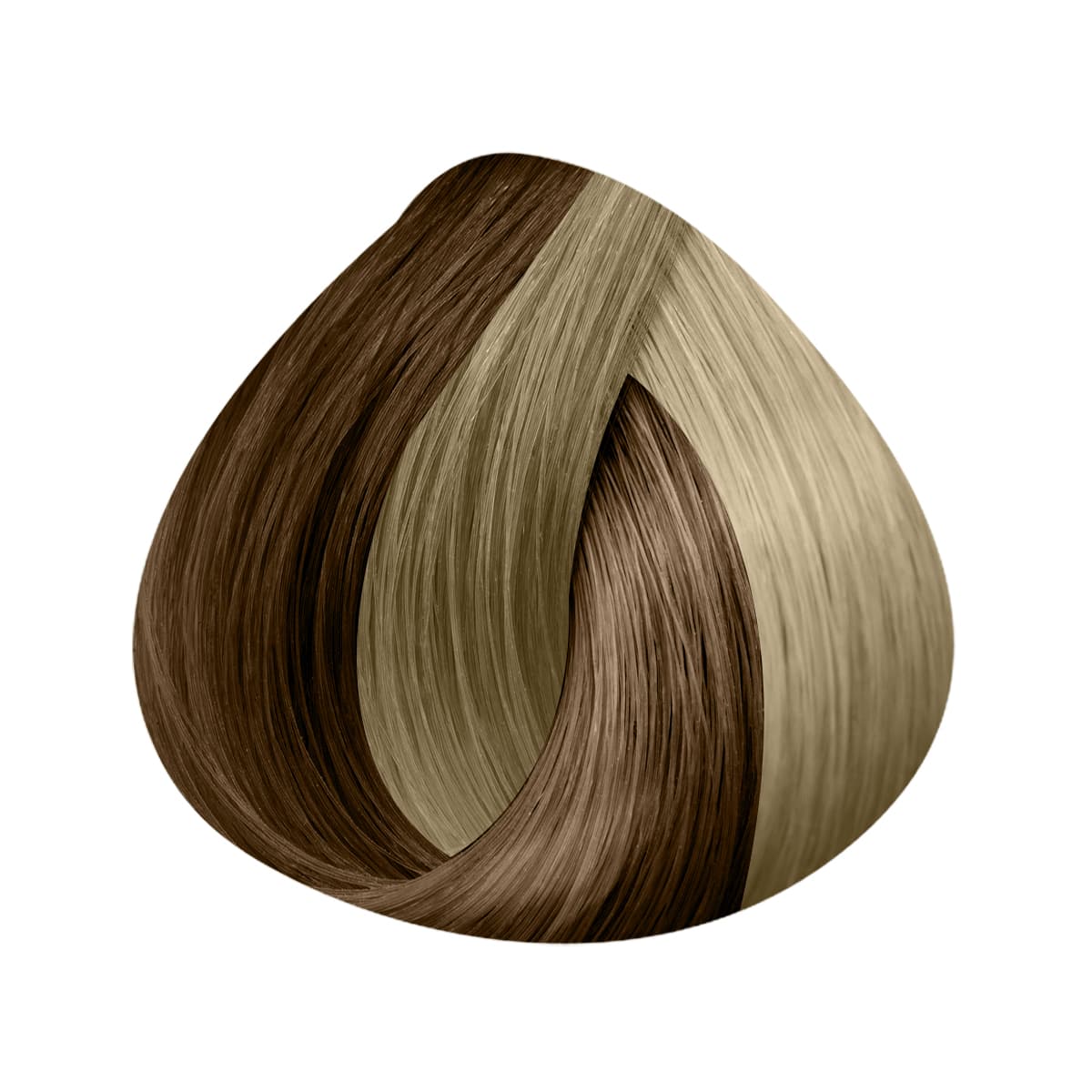 Extensions EASY 21 Largeur 14cm 4 Clips X3 Bandes 50/55cm - Image 26
