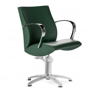 Fauteuil LIONESS accoudoirs acier poli - Image 2
