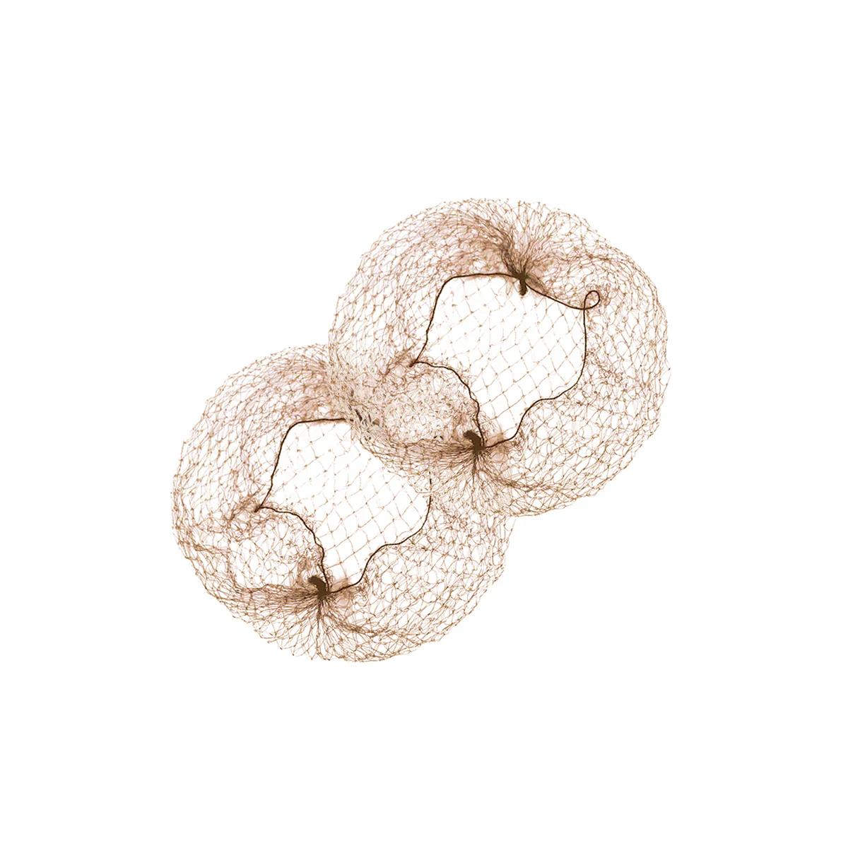 Filet Chignon x2 - Image 4