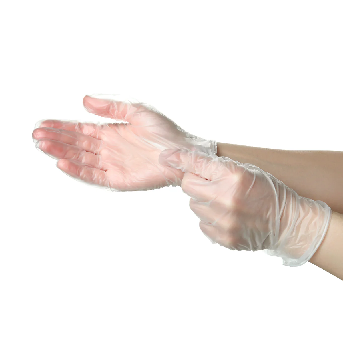 Gants Vinyle non poudrés Transparents X100 - Image 3