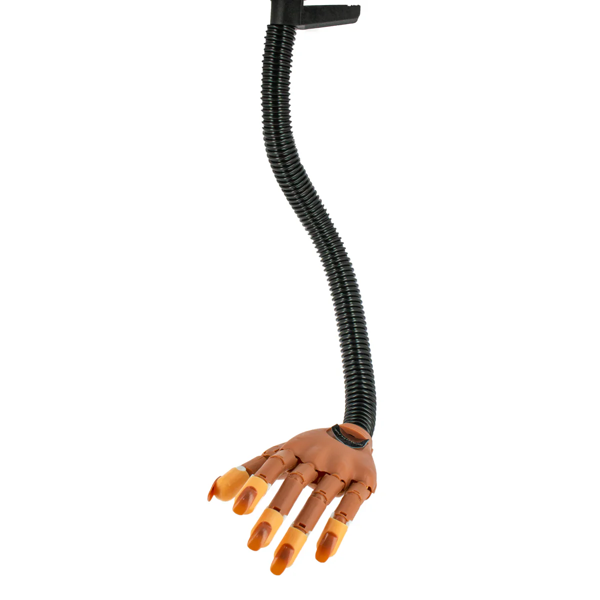 Main d'entraînement articulée flexible + 100 ongles - Image 2