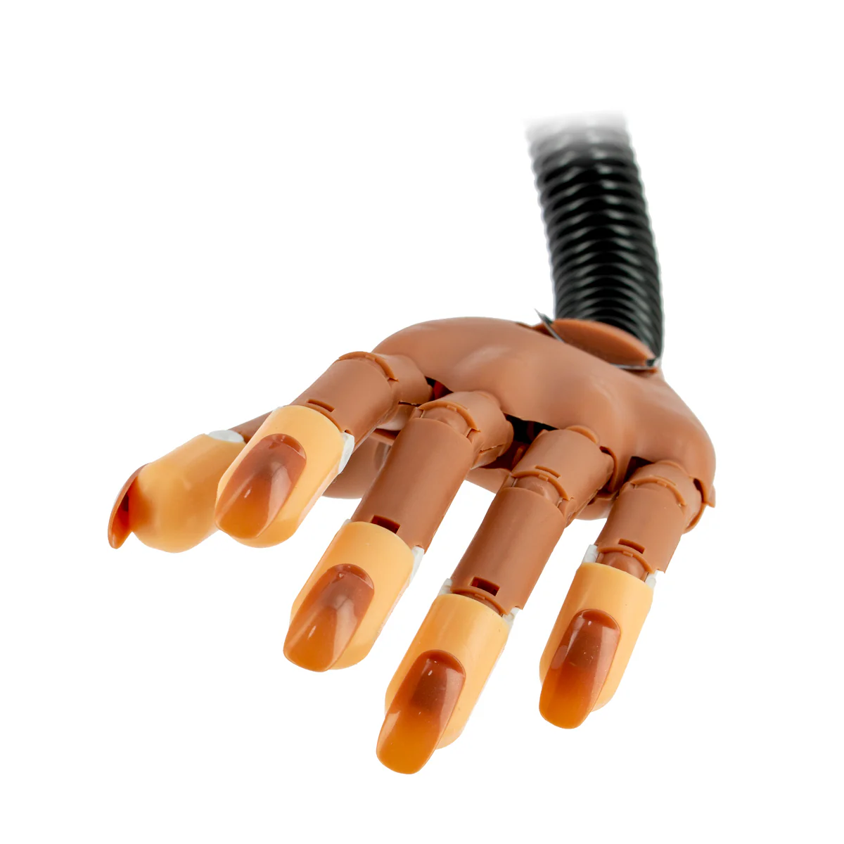 Main d'entraînement articulée flexible + 100 ongles - Image 3