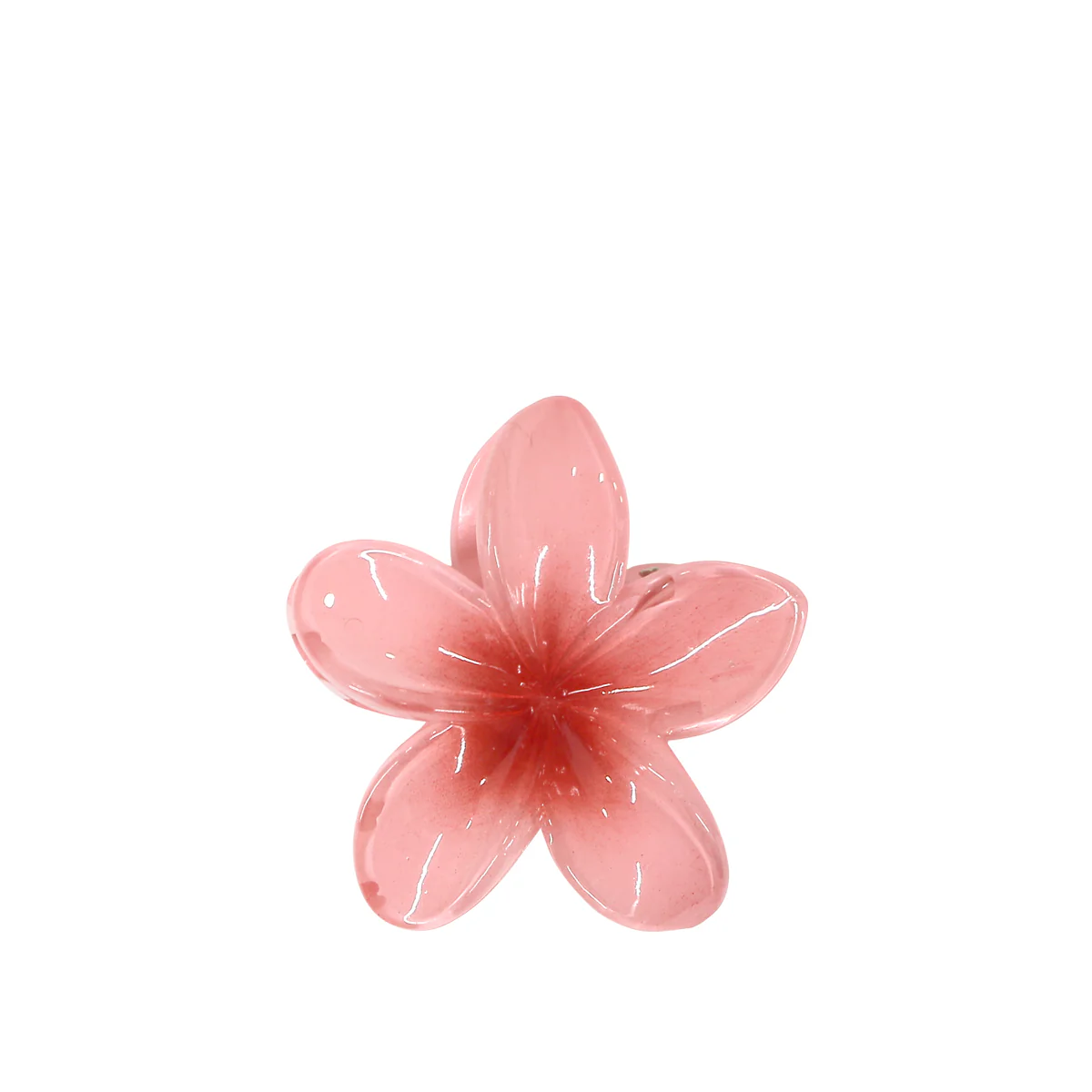Pince à Cheveux Fleur Tropicale